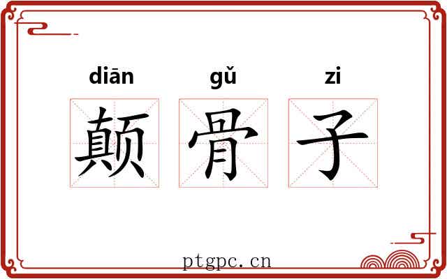 颠骨子 颠骨子
