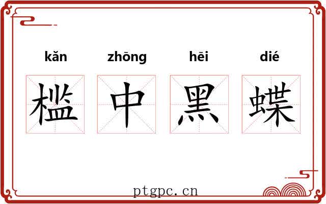 槛中黑蝶 槛中黑蝶