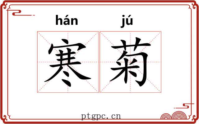 寒菊