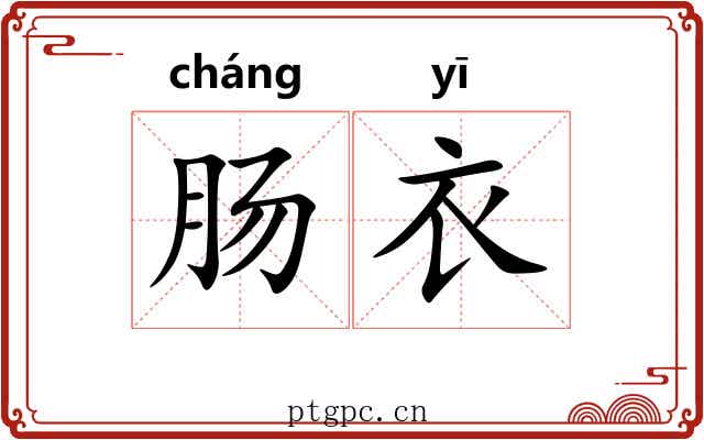 肠衣