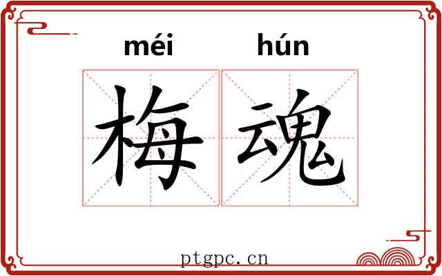 梅魂