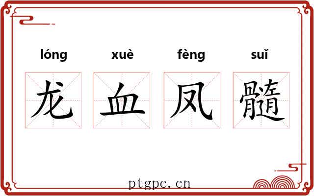 龙血凤髓 龙血凤髓