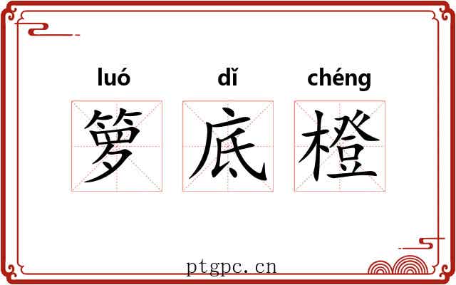 箩底橙