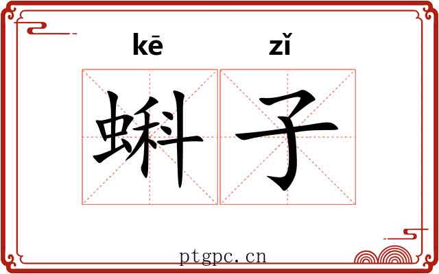 蝌子