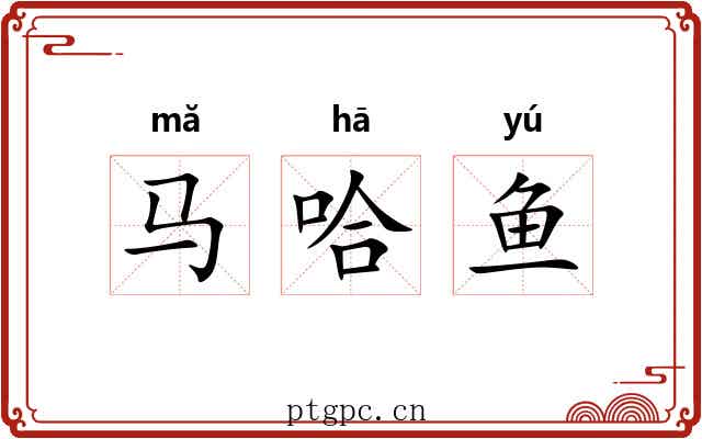 马哈鱼 马哈鱼