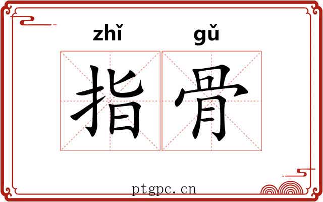 指骨 指骨