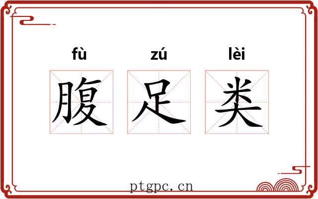 腹足类 腹足类