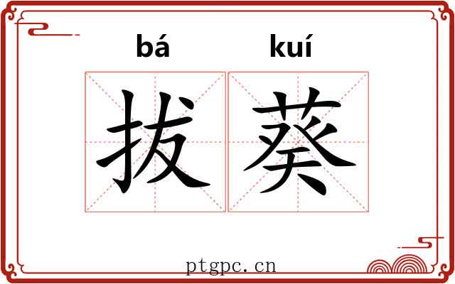 拔葵 拔葵