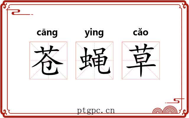 苍蝇草 苍蝇草