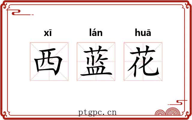 西蓝花