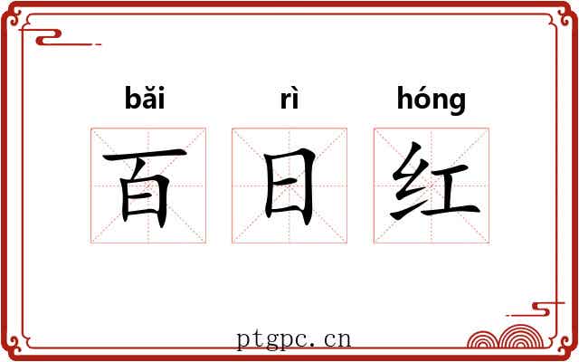 百日红 百日红