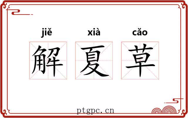 解夏草 解夏草