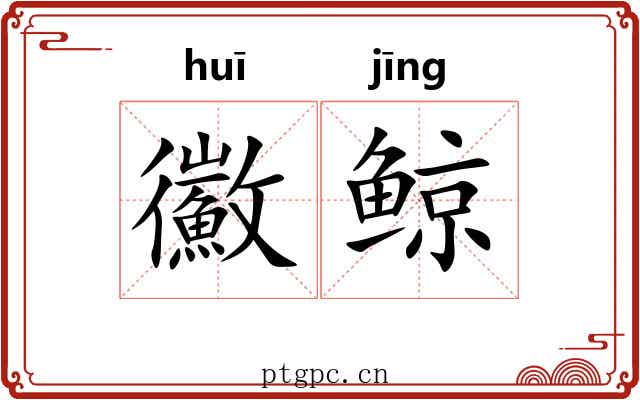 鰴鲸