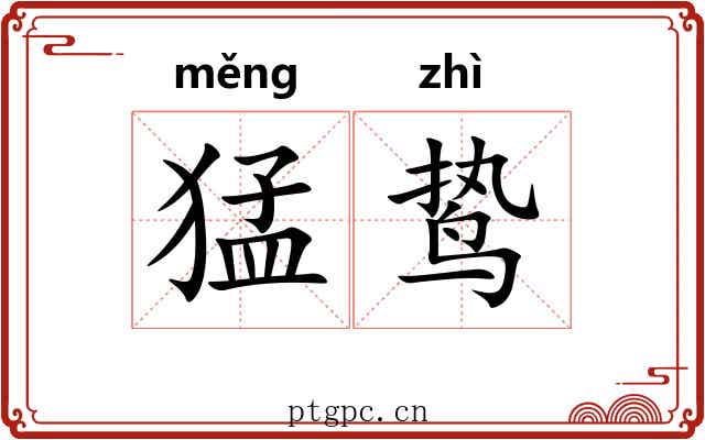 猛鸷 猛鸷