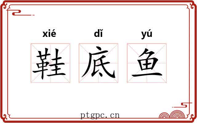 鞋底鱼 鞋底鱼