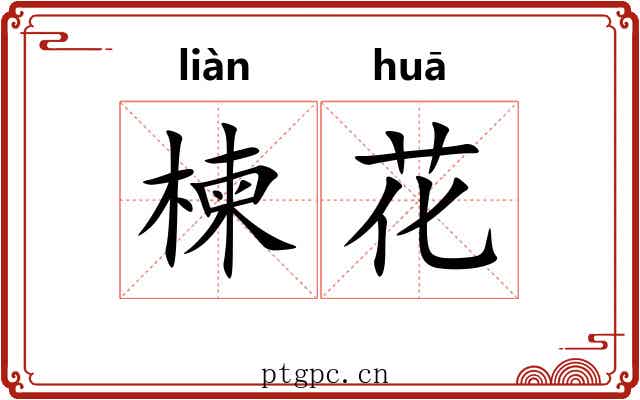楝花 楝花