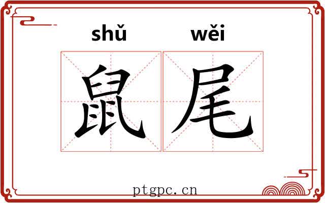 鼠尾