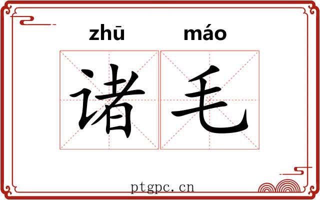 诸毛 诸毛