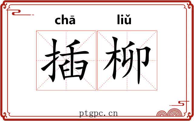 插柳