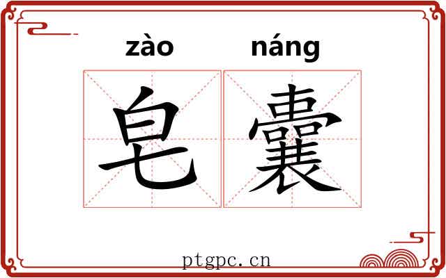 皂囊 皂囊
