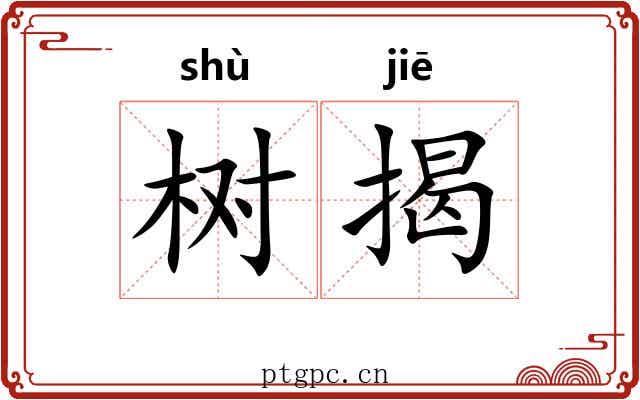 树揭