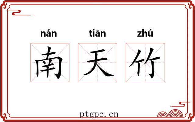 南天竹 南天竹