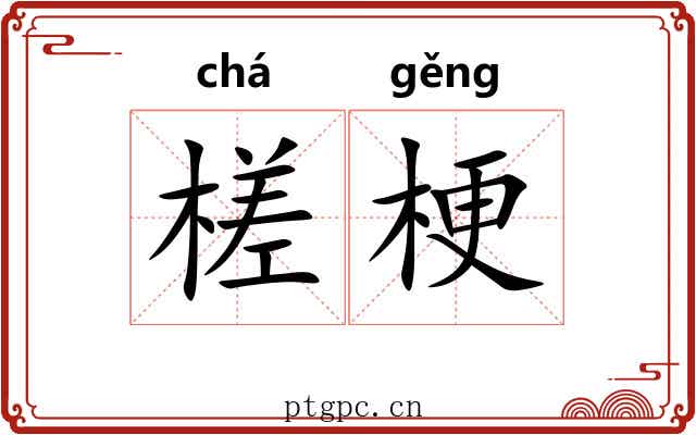 槎梗