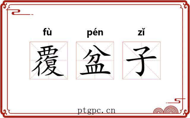 覆盆子 覆盆子
