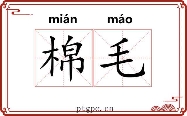 棉毛 棉毛