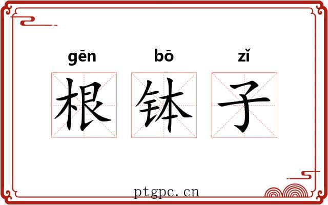 根钵子 根钵子
