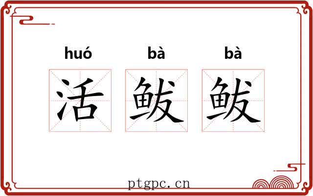 活鲅鲅