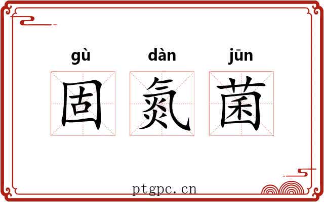 固氮菌