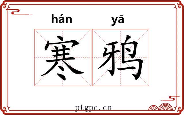 寒鸦 寒鸦