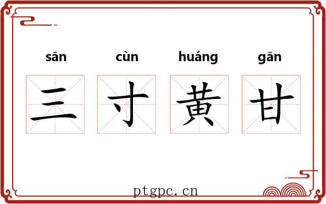 三寸黄甘