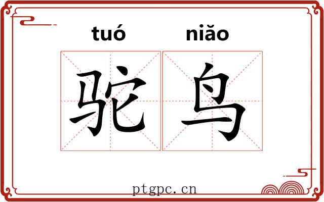 驼鸟