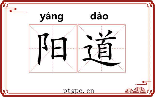 阳道 阳道