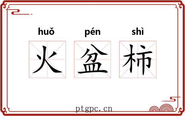 火盆柿