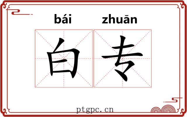 白专 白专