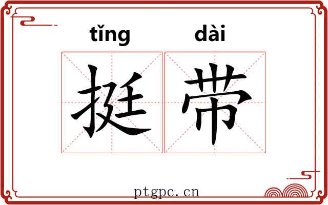 挺带 挺带
