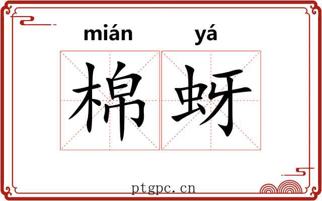 棉蚜