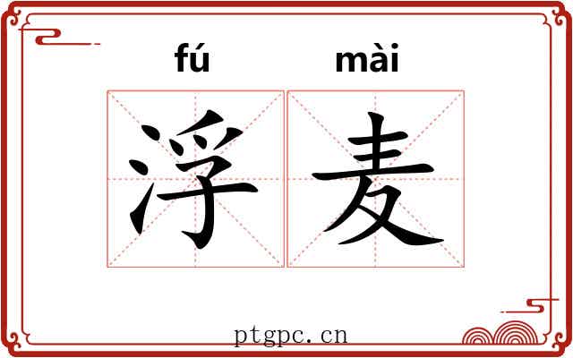 浮麦 浮麦