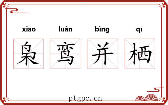 枭鸾并栖 枭鸾并栖