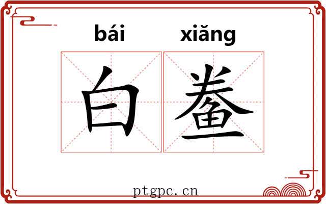 白鲞 白鲞