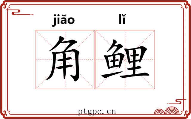 角鲤 角鲤
