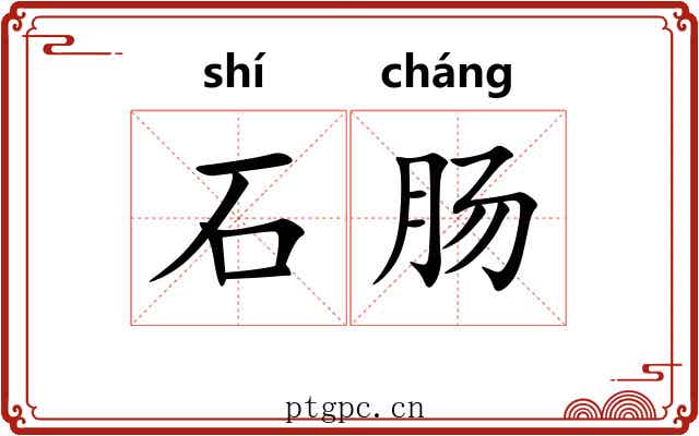 石肠 石肠