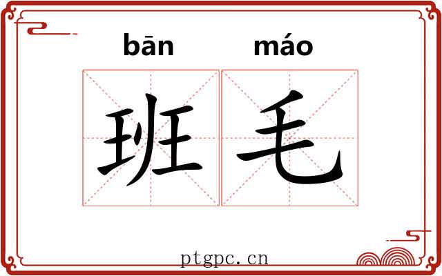 班毛 班毛