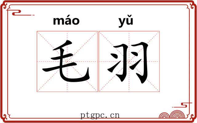 毛羽 毛羽