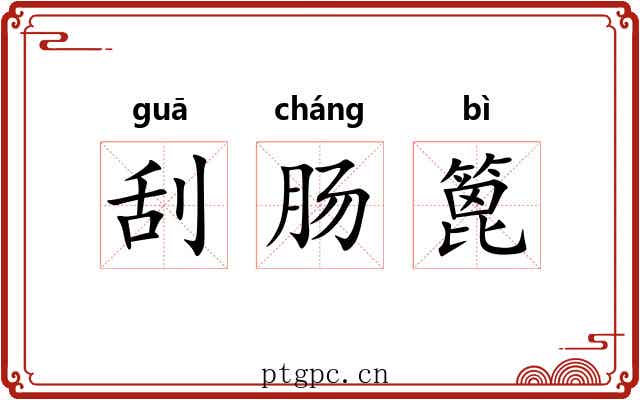 刮肠篦
