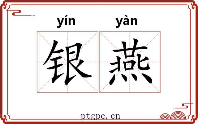 银燕 银燕