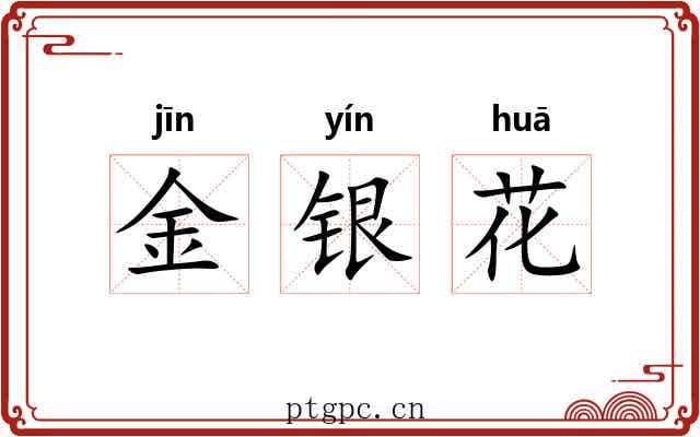 金银花 金银花